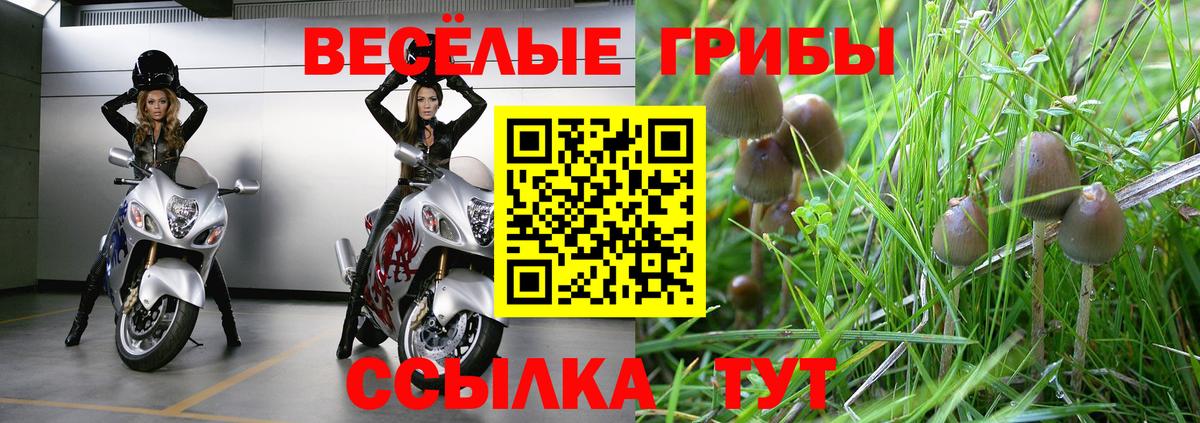 Галлюциногенные грибы GOLDEN TEACHER Новокузнецк