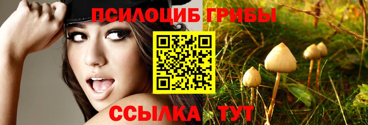 Галлюциногенные грибы мицелий  Вход с VPN  Галлюциногенные грибы Magic Shrooms  купить наркотик  Новокузнецк 