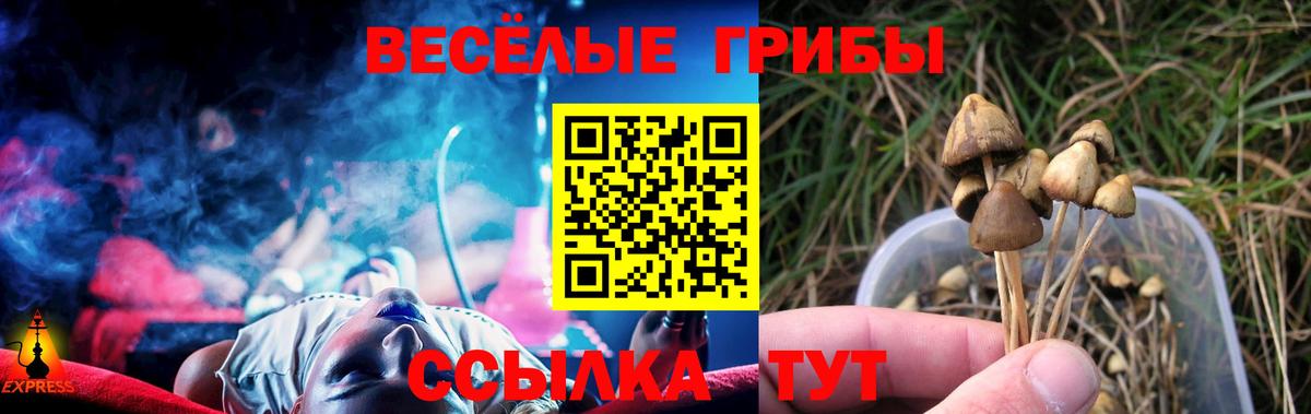 Псилоцибиновые грибы Cubensis Новокузнецк